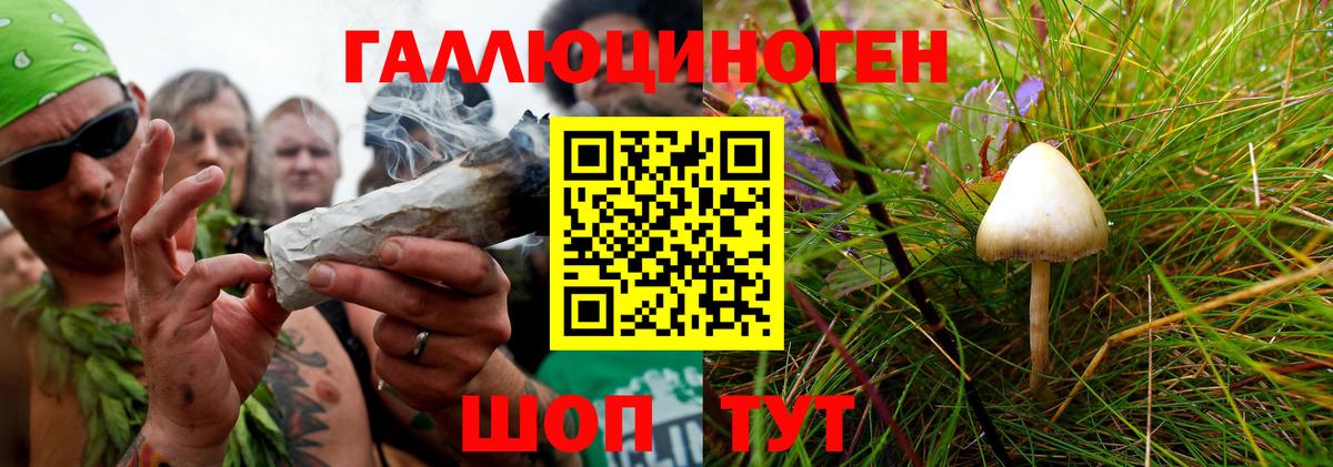 Галлюциногенные грибы прущие грибы  Вход с VPN  Усть-Илимск 